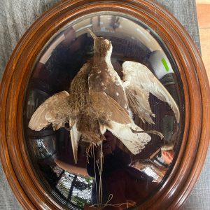 Tableau paire de Chevaliers fin 19eme dans cadre ovale, vitre bombée, une manquante